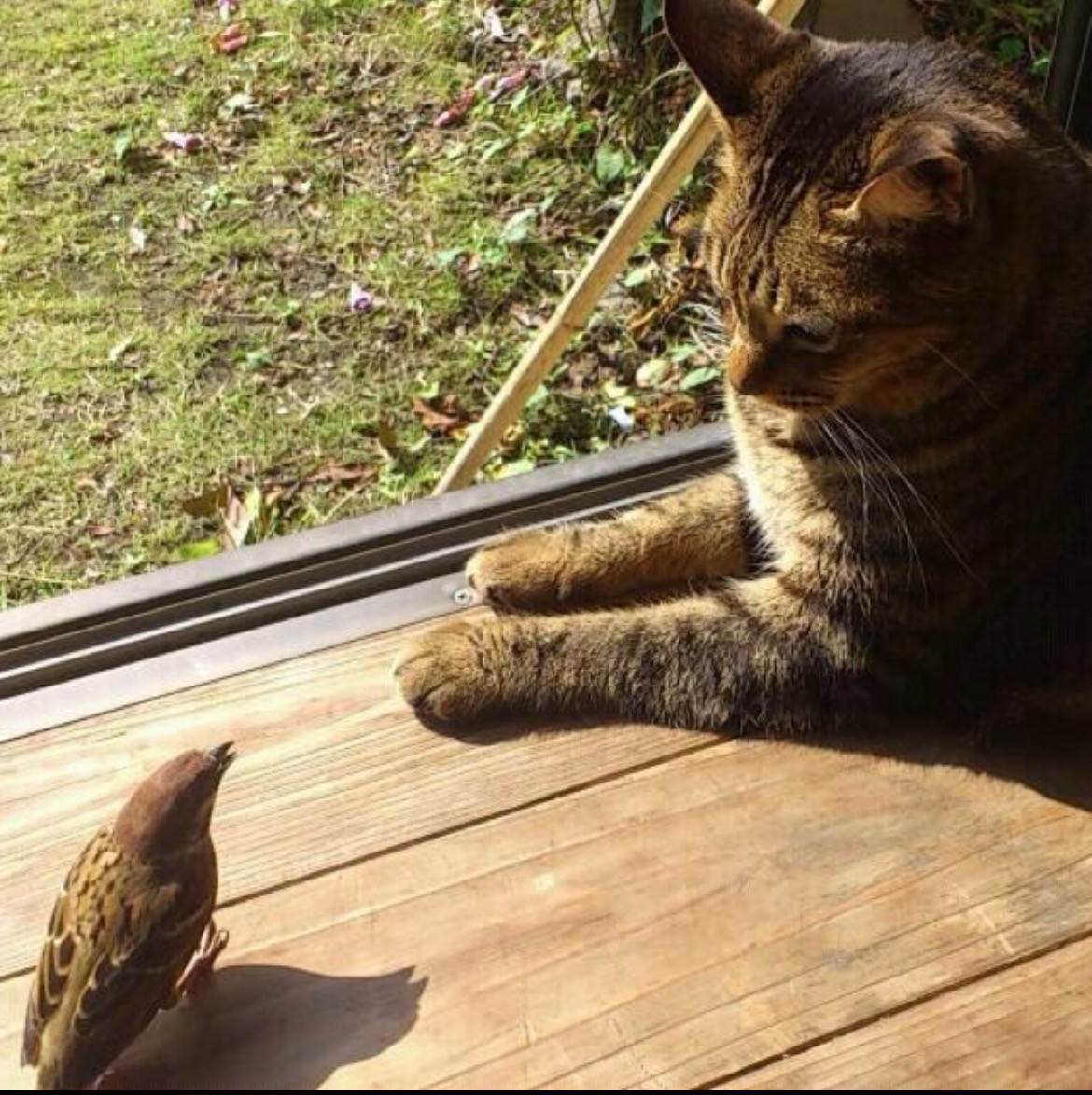 つきのプロフィール画像