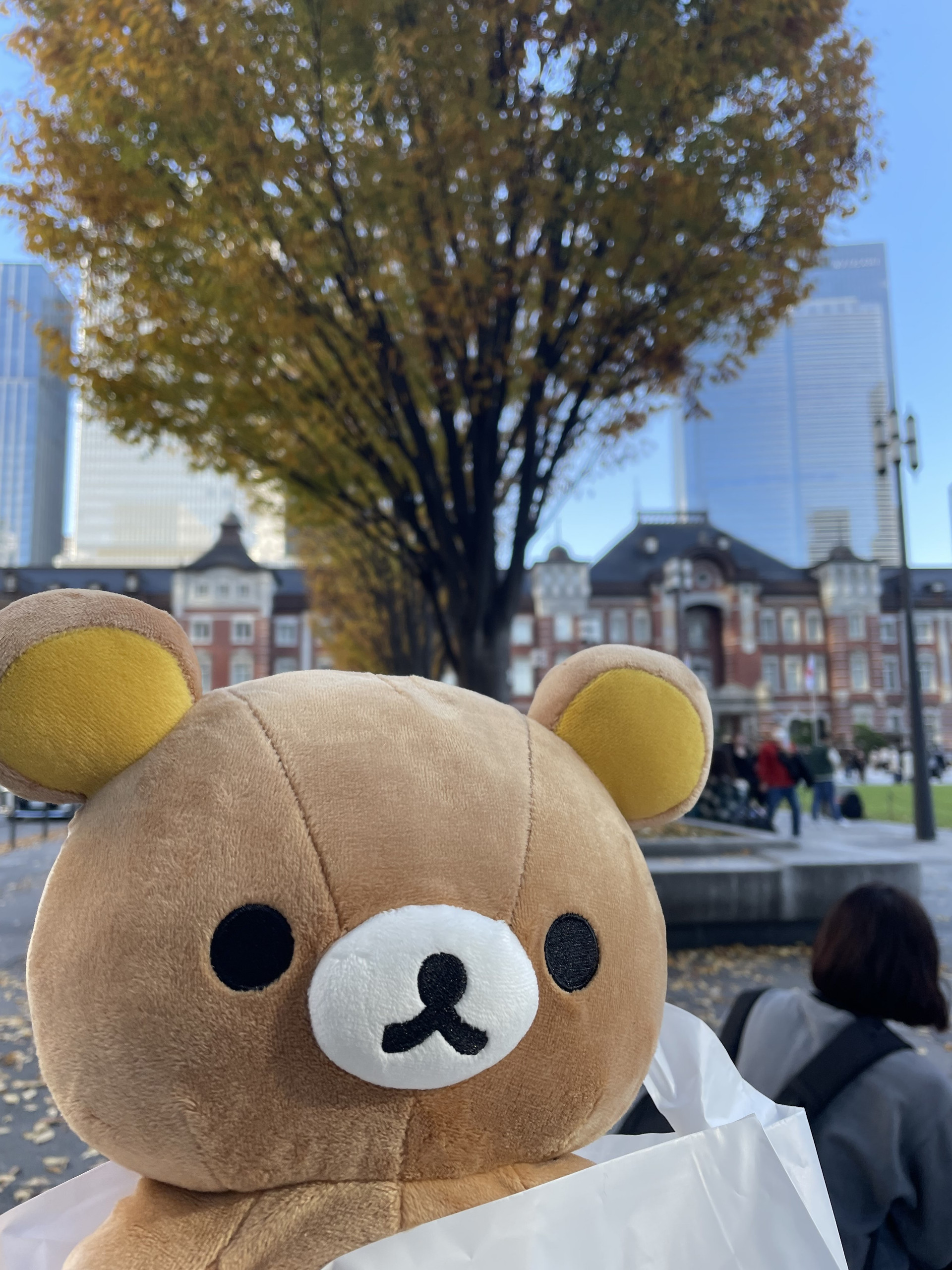 イワタケ（Webアプリ6期）のプロフィール画像