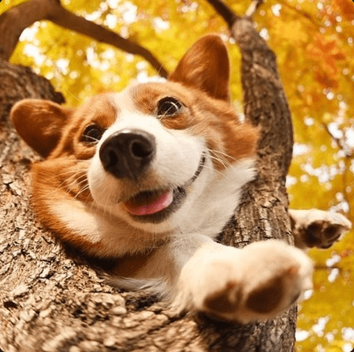 kentoのプロフィール画像