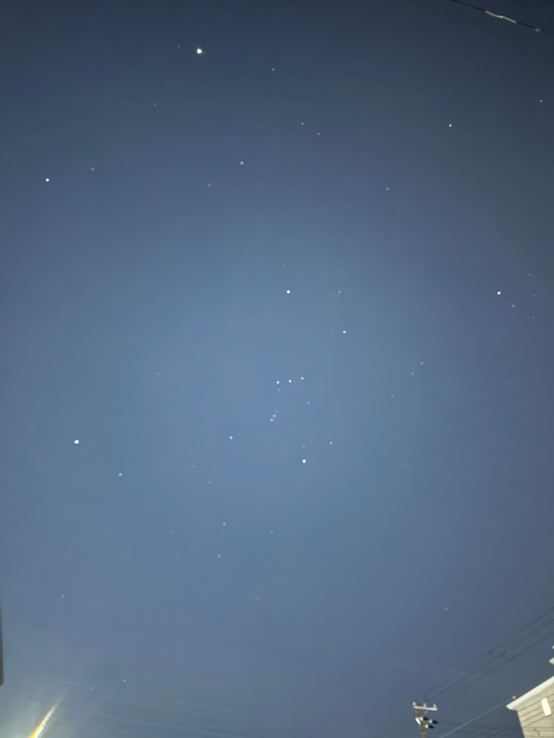 すいのプロフィール画像