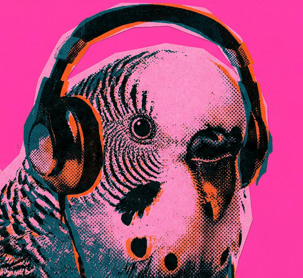 ハヤのプロフィール画像