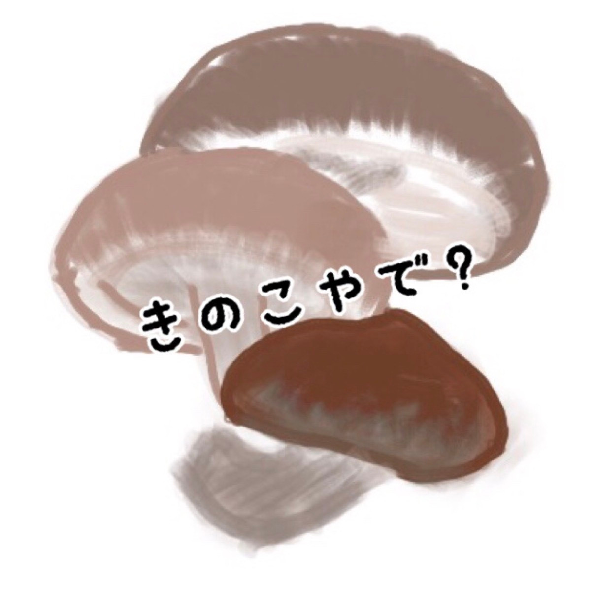 きのこのプロフィール画像