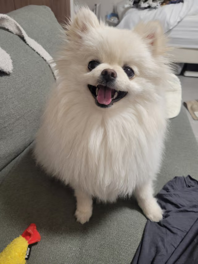 みわのプロフィール画像